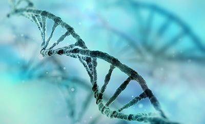 Nanopore-Sequenzierung im Genetiklabor des WIF