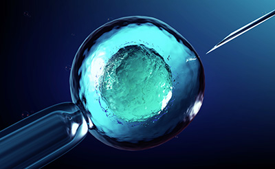 Weltweit erste Nanopore-PID am Polkörper – Laborarbeit am WIF