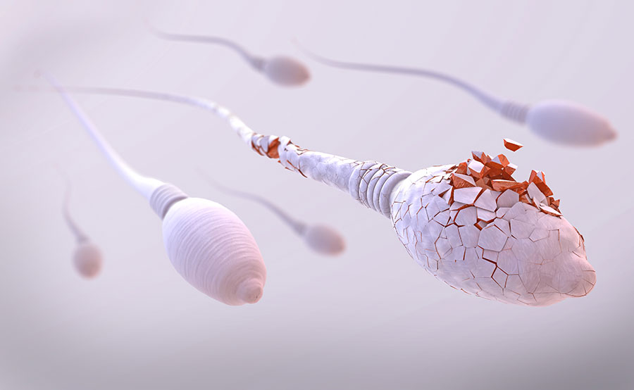 Spermiogramm im Wunschbaby Institut Feichtinger in Wien