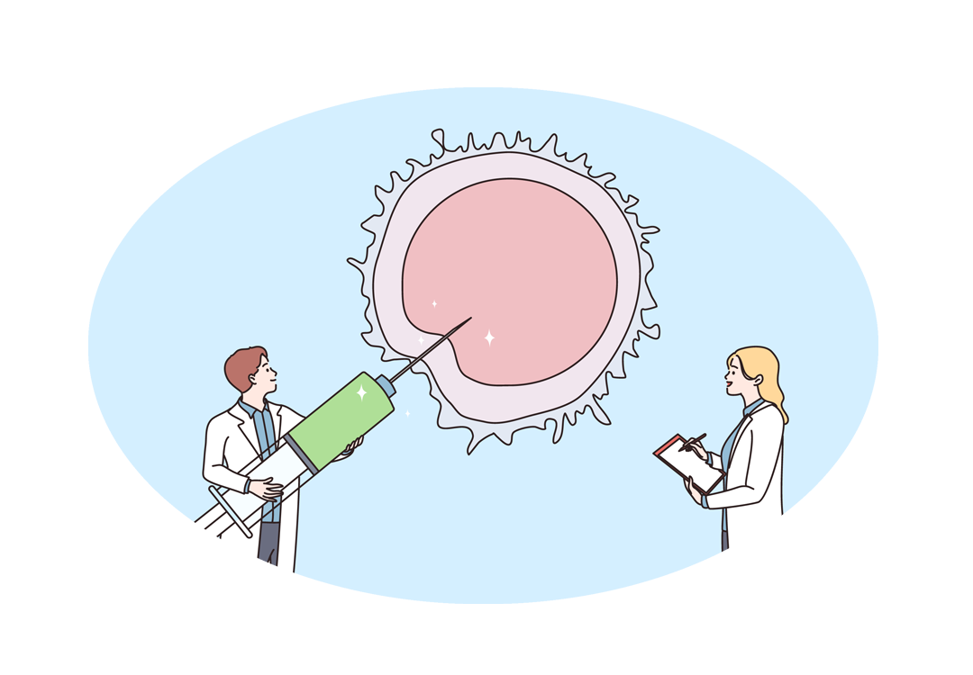 Illustration: Eizellen entnehmen