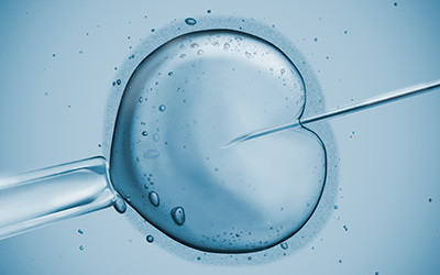 Künstliche Befruchtung IVF Wien